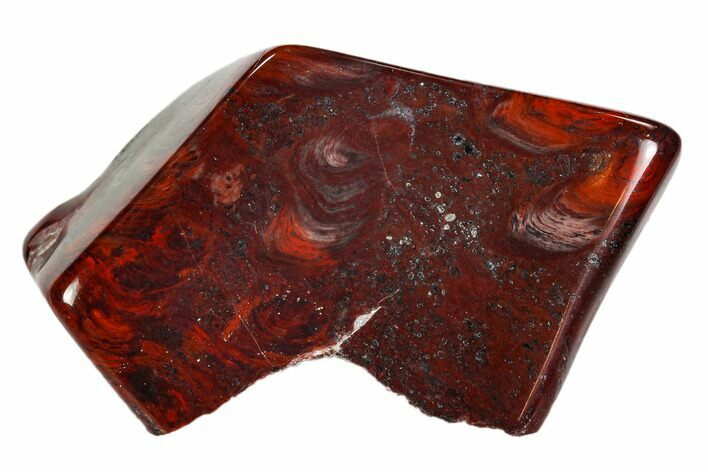Bargain Polished Stromatolite (Collenia) - Minnesota #108593